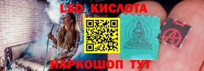 ПСИЛОЦИБИНОВЫЕ ГРИБЫ Свободный