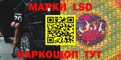 ПСИЛОЦИБИНОВЫЕ ГРИБЫ Свободный